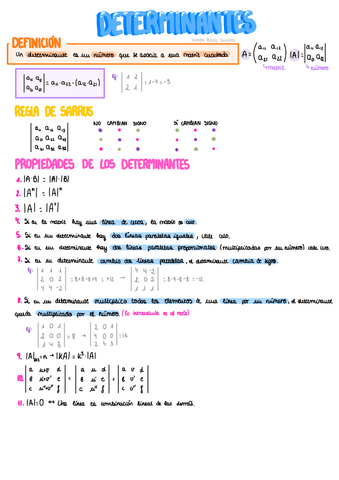 Determinantes y matrices.pdf