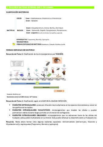 TEMA-5-MICRO-BACTERIAS-ESPECIALES-BASES-1.pdf