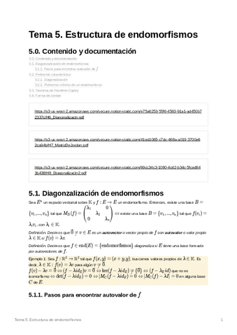 U5Endomorfismos.pdf