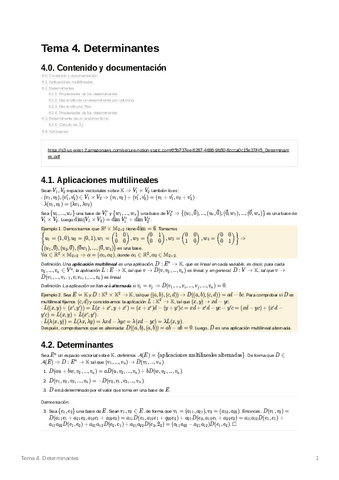 U4Determinantes.pdf