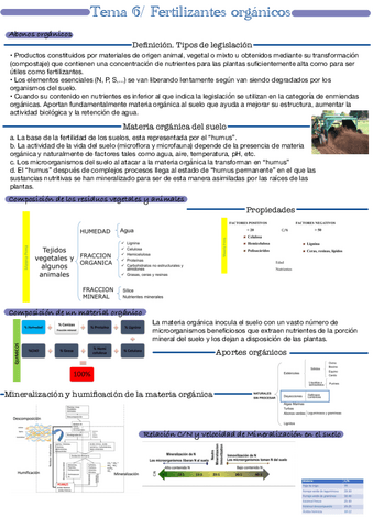 Tema-6.pdf