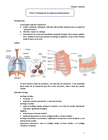 Tema-7-Organos-Bucofonatorios.PDF