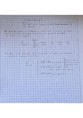 Elasticidad-ingreso-de-la-demanda.pdf