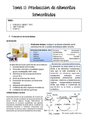 tema-13-biotec-microb.pdf