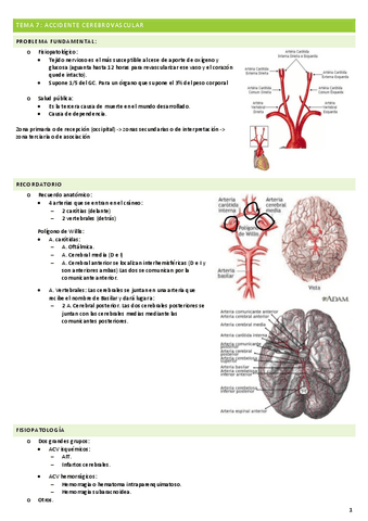 TEMA-7-ACCIDENTE-CEREBROVASCULAR.pdf