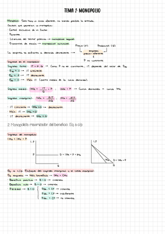 ESQUEMA-RESUMEN-TEMA-2-MICRO.pdf