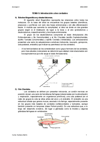 ZOO2-VERTEBRADOS-TEORIA-22-23.pdf