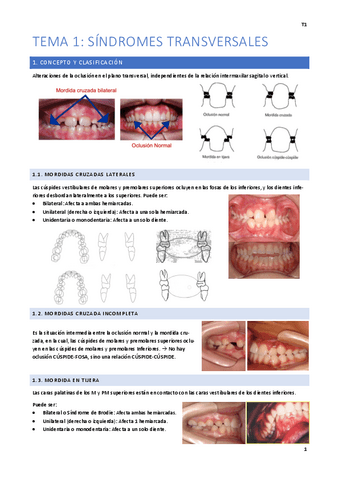 MG.pdf