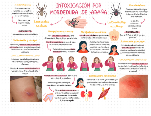 INTOXICACION-POR-MORDEDURA-DE-ARANA.pdf