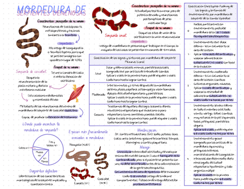 MORDEDURA-DE-SERPIENTES-VENENOSAS.pdf