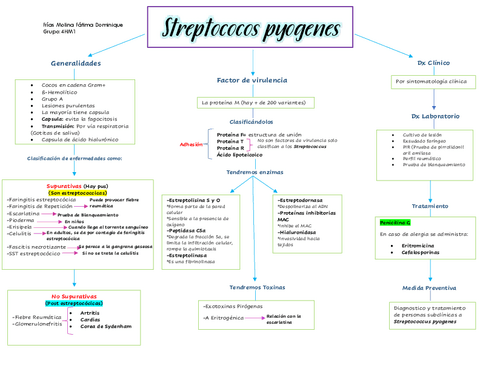 MAPA-CONCEPTUALSTREPTOCOCCUS-PYOGENES.pdf