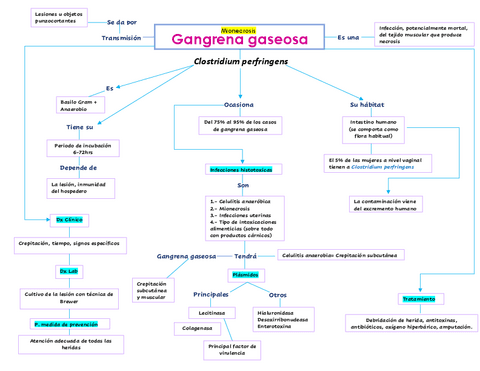 Mapa-ConceptualGangrena-gaseosa.pdf