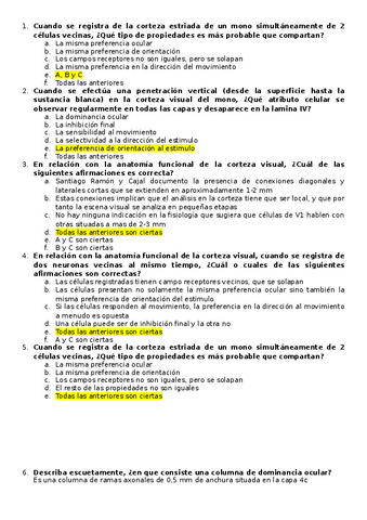 3-Arquitetura-funcional-Corteza-visual.pdf
