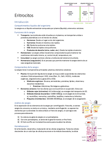 Apuntes-sangre-y-sistema-inmunitario.pdf