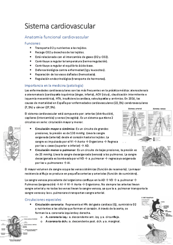 Apuntes-sistema-cardiovascular.pdf
