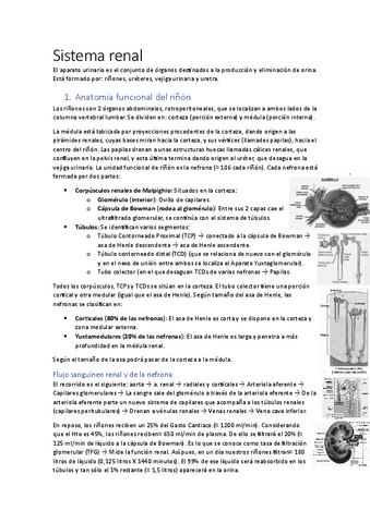 Apuntes-sistema-renal.pdf