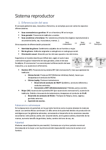 Apuntes-sistema-reproductor.pdf