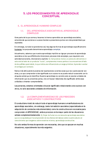 5.-LOS-PROCESOS-DE-APRENDIZAJE-CONCEPTUAL.-resumen.pdf