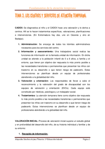 TEMA 2.pdf