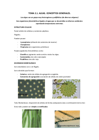 tema 2.1 Algas. Conceptos generales (sandra).pdf