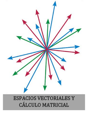 apuntes-espacios-vectoriales.pdf