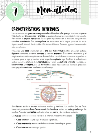Tema-7.-Nematodos.pdf