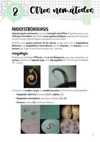 Tema-8.-Otros-nematodos.pdf