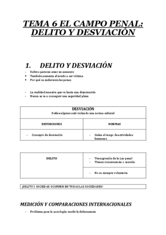 RESUMEN-TEMA-6-SOCIOLOGIA-JURIDICA.pdf