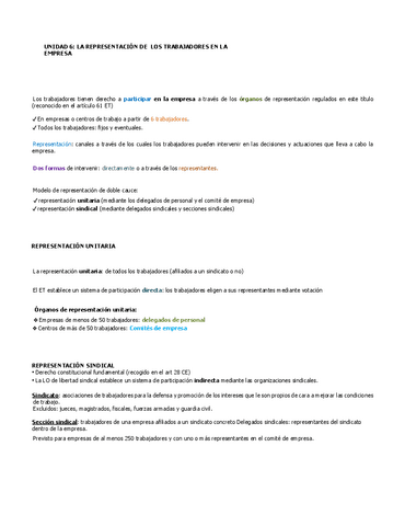 Representacion-de-los-trabajadores-en-la-empresa.pdf