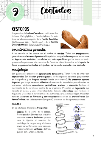 Tema-9.-Cestodos.pdf