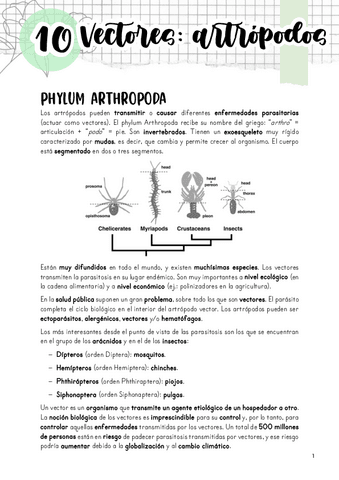 Tema-10.-Vectores-Artropodos.pdf