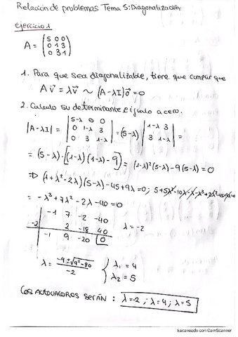 SOLUCIONES-TEMA-5-DIAGONALIZACION.pdf