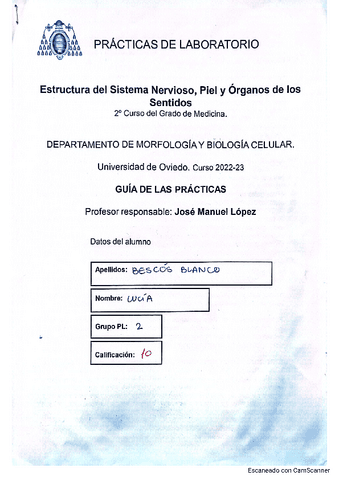 cuadenillohistonervioso.pdf