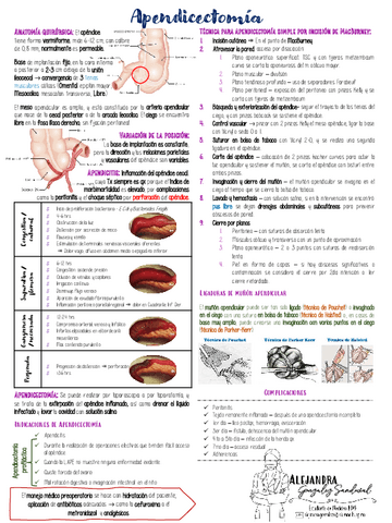 APENDICECTOMIA.pdf