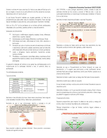 OSTOMIAS.pdf