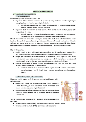 tot-sistema-nervios.pdf