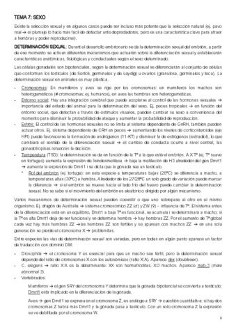 APUNTS-ENDO-2nP-2223.pdf