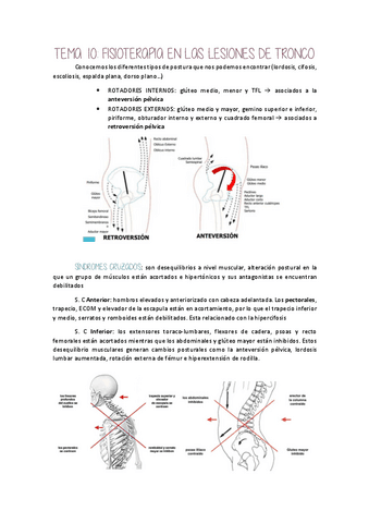 Tema-10-Lesiones-de-tronco.pdf