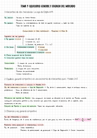 ESQUEMA-RESUMEN-TEMA-9-MICRO.pdf