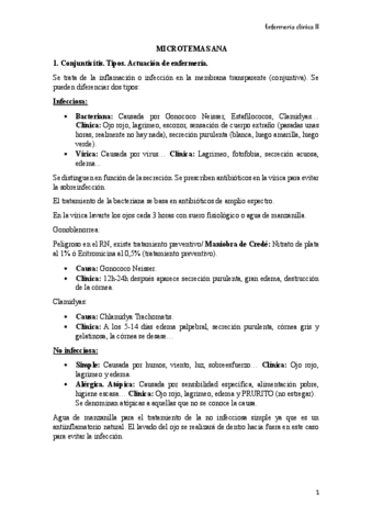 MICROTEMAS.pdf