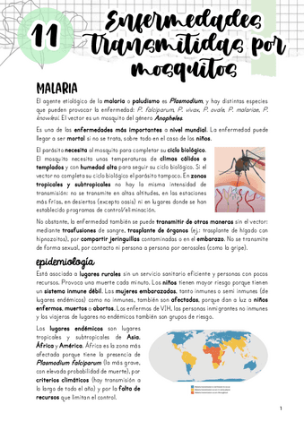 Tema-11.-Enfermedades-transmitidas-por-mosquitos.pdf
