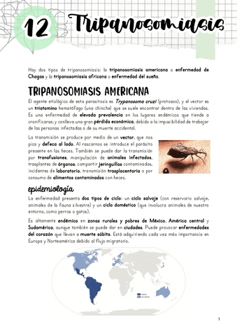 Tema-12.-Tripanosomiasis.pdf