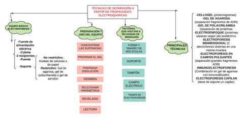 ESQUEMA-TECNICAS-SEPARACION-PROP-ELECTROQUIMICAS.pdf