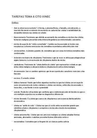 TAREFAS-TEMA-6-CITO.XINEC..pdf