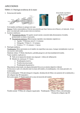 TEMA-13.-Afecciones.pdf