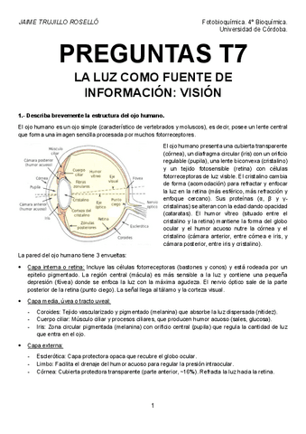 Preguntas-T7-resueltas.pdf