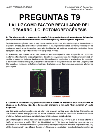 Preguntas-T9-resueltas.pdf