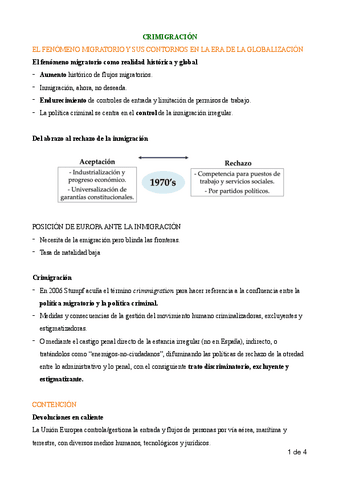Tema-11-Crimigracion.pdf