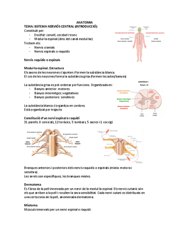 ANATOMIA-SISTEMA-NERVIOS-CENTRAL-INTRODUCCIO.pdf