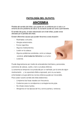 anosmia-patologia-olfato.pdf